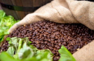 Økologisk kaffe